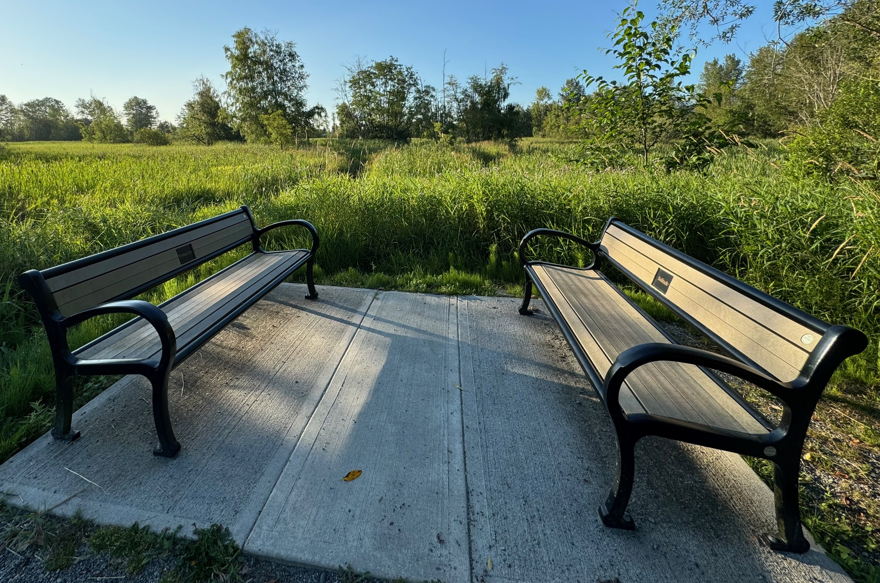 Two benches
